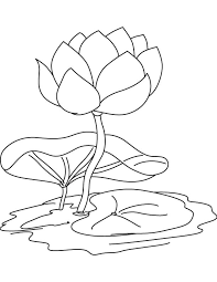 All click pond coloring free page lily pages vector printable version ideas with life image duck images. Coloring Pages Lily Pond Coloring Pages