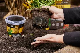 Biochar Tree Soil Improver Bundle