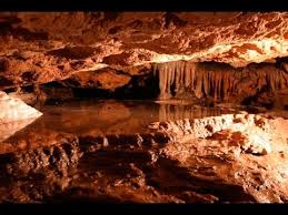 Image result for images of florida caverns state park