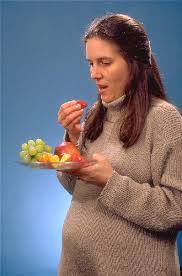 Nutrition And Pregnancy Wikipedia