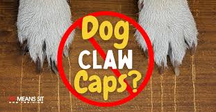 should i get claw caps for my dog