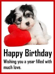 The advantage that images have is that they're direct. Loving Puppy Birthday Card Birthday Greeting Cards By Davia