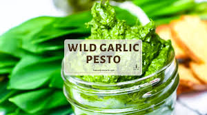 wild garlic pesto recipe no nuts keto