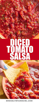 canned salsa easy recipe made with