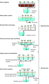 hydroponic irrigation methods include