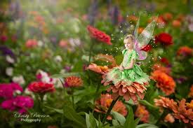 Marigold Flower Garden Fantasy Digital