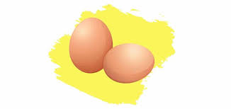 how much protein is in 2 eggs