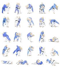 Judo Chart Judo Mma Martial Arts