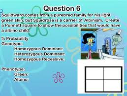 Everyone in squidward's family has light blue skin, which is the dominant trait for body color in his hometown of squid valley. Spongebob Science Genetics Powerpoint By Amy Mele Tpt