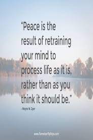 You are focused on that one thing, you are content, and everything seems peaceful. 10 Quotes To Help You Find Peace Peace Quotes Finding Peace Quotes Chaos Quotes