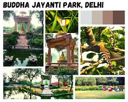 The Best Weekend Picnic Spots In Delhi
