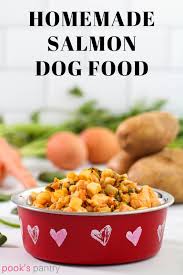 how to make homemade dog food pook s