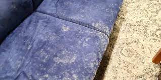 mold on furniture the causes and