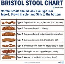 micro the bristol stool chart