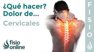 They support the head and connect it to the shoulders and body. Dolor De Cervicales Que Puedo Hacer Para Mejorarlo Claves Consejos Tips Y Ejercicios Youtube
