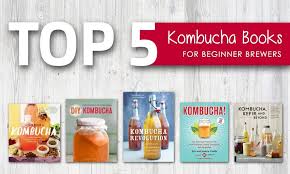kombucha books for beginner brewers