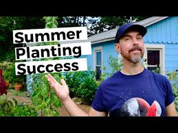 Tips For Summer Gardening In Texas