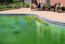 algae naturally in your swimming pool