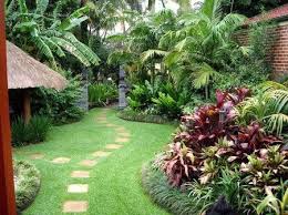 Backyard Garden Landscape Tropical