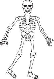 Gift these halloween skeleton coloring pages to your toddlers, preschool and kindergarten kids and children to color these blank printable and enjoy their holidays in such. Skull Martha Stewart Printable Recherche Google Free Halloween Coloring Pages Skeleton Coloring Pages For Kids Skeleton Coloring Pages