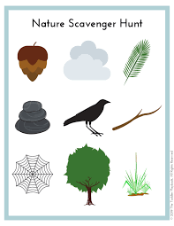 Great for camping trips, hiking day trips and really any vacation activity, go find it too will get kids outdoors and exploring nature. The 6 Best Nature Scavenger Hunt Ideas For Kids The Toddler Playbook