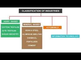Ncert Class 10 Classification Of Industries Agro
