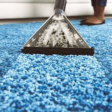 residential carpet cleaning 7 star
