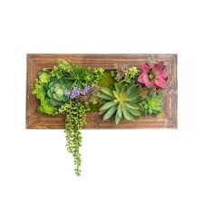 Wood Succulent Wall Frame Rustic Style