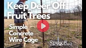 keeping deer off your fruit trees