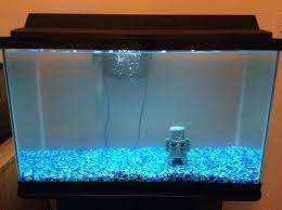 How To Fix Cloudy Fish Tank Easiest