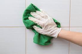 oak brook s tile cleaning service
