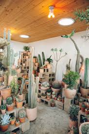 A cactus (plural cacti, cactuses, or less commonly, cactus) is a member of the plant family cactaceae, a family comprising about 127 genera with some 1750 known species of the order. 30 Of The Cutest Plant Shops Around The World