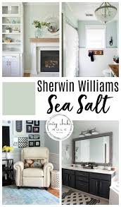Sherwin Williams Sea Salt Gorgeous