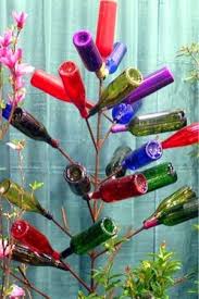 the gardeners guide to bottle trees