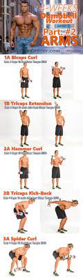 Dumbbell Workout Dumbbell Workout Plan