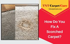 how do you fix a scorched carpet el