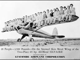 Image result for luscombe airplane advertising pictures