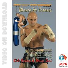 muay thai kick boxing punching bag