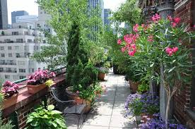 Rooftop Terrace Garden New York City