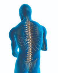 all about herniated discs promedspine