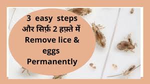nits removal at home head lice comb