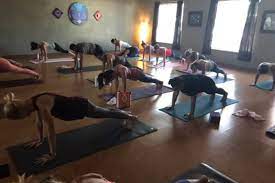 yoga on main read reviews and book