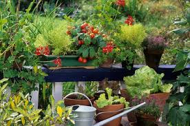 Create A Balcony Vegetable Garden The