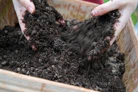 How To Make Your Own Potting Mix Rhs