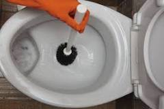 how-do-i-clean-the-black-under-my-toilet-rim