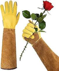 Long Gardening Gloves For Women Thorn