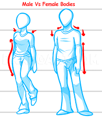This is one of the difficulties i had to overcome when i first started to draw anime. How To Draw A Body For Beginners By Dawn Dragoart Com Anime Drawings Drawing Clothes Drawing Anime Clothes