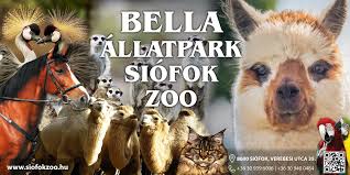 siofok bella állatpark 