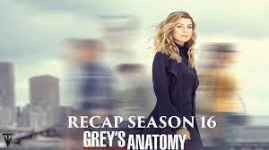 Grey's Anatomy | Season 16 Recap - Bilibili