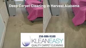 deep carpet cleaning harvest al you